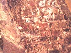 howthtower 1123.jpg